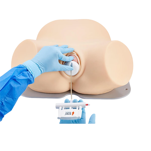 Lucy and Lucy's Mom instrumental delivery birth simulator