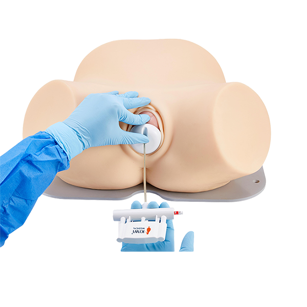 Lucy and Lucy's Mom Obstetric Simulator